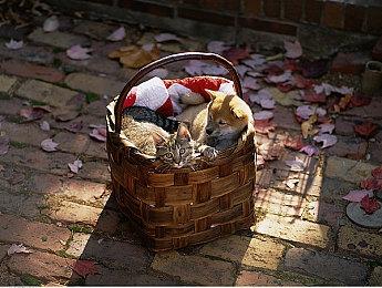 《漫威银河护卫队》更新1.04补丁  修复若干问题